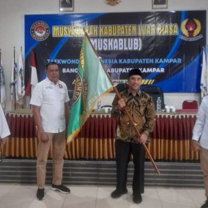Oplus_16908288
